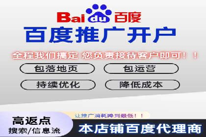 案例研究：百度竞价广告投放效果